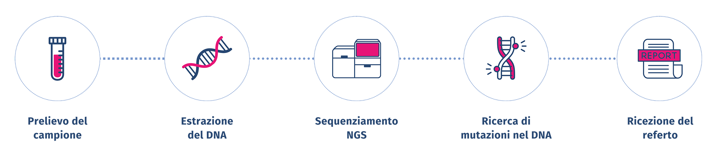 Piattaforma Tecnologica